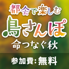 環境学習講座（都会で楽しむ鳥さんぽ）